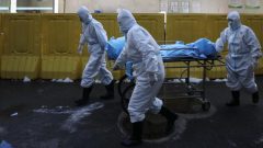 Koronavirüs ile ilgili şok iddia! Hayvan pazarından yayılmamış…