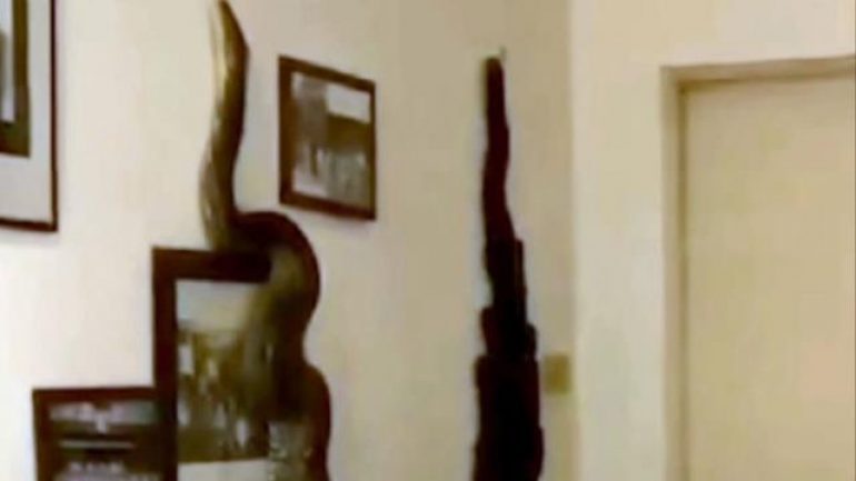 Tayland’da, 3.5 metrelik piton yılanı eve girdi