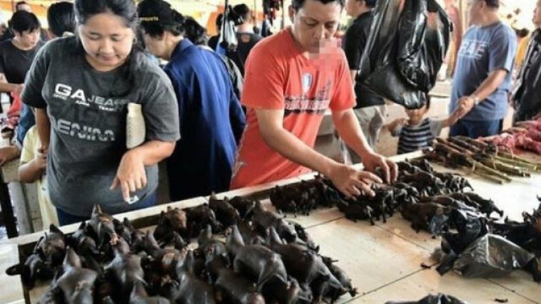 Koronavirüs ile ilgili bütün bildiklerinizi unutun! DSÖ, Wuhan’ı akladı