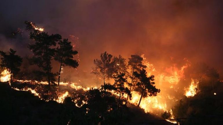 Manavgat’taki yangını 12 yaşındaki çocuk çıkarmış