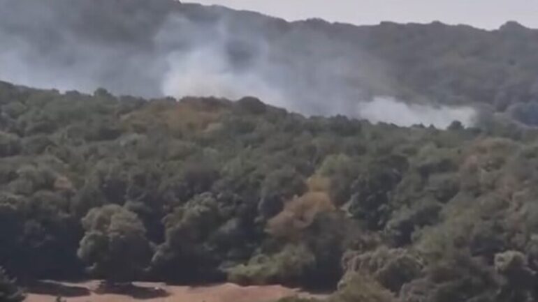 İstanbul’da orman yangını!