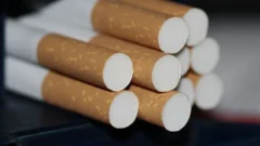 O il ‘sigarasız şehir’ olacak