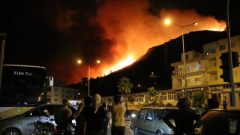 Türkiye felaketi yaşıyor! 7 ilde 21 noktada yangın sürüyor