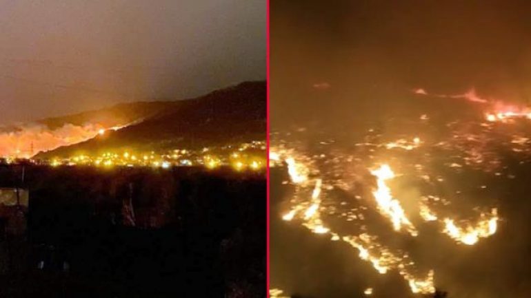 Hatay’da orman yangını!