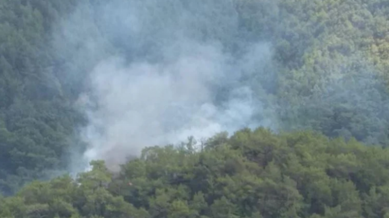 Kazdağları’nda orman yangını!