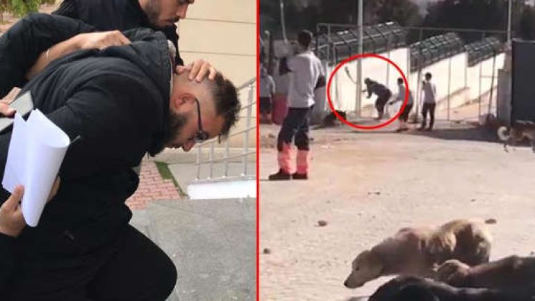 Köpeği kürekle vura vura öldüren caniden korkunç savunma!