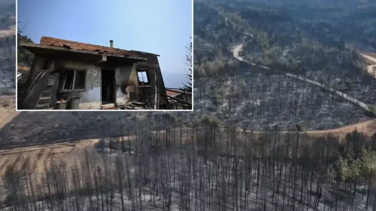 Yüzde 72’si ormanla kaplı Karabük’ün son hali yürek yakıyor