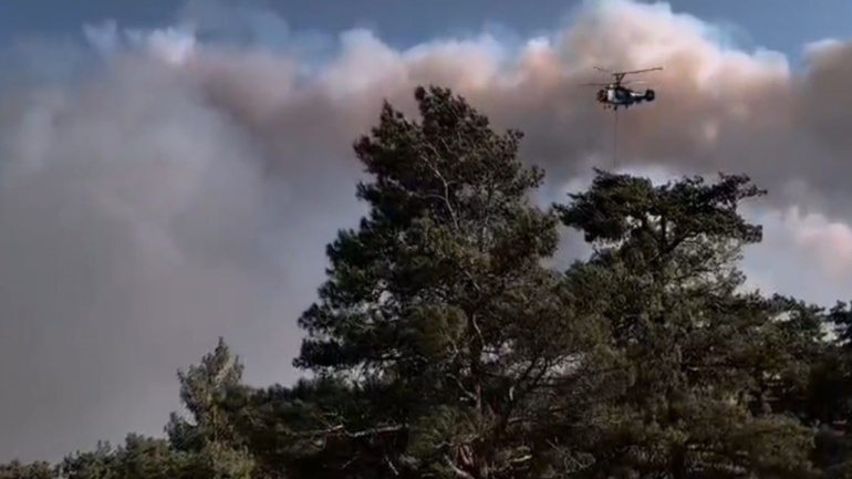 Hatay ve Mersin yanıyor! Mahalleler tahliye edildi