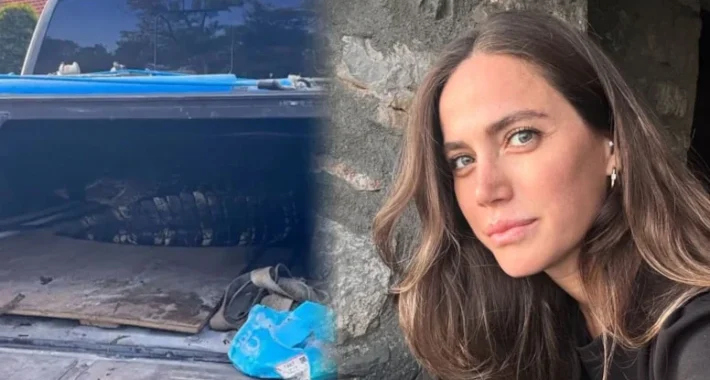 Ünlü oyuncunun sitesinde timsah yakalandı